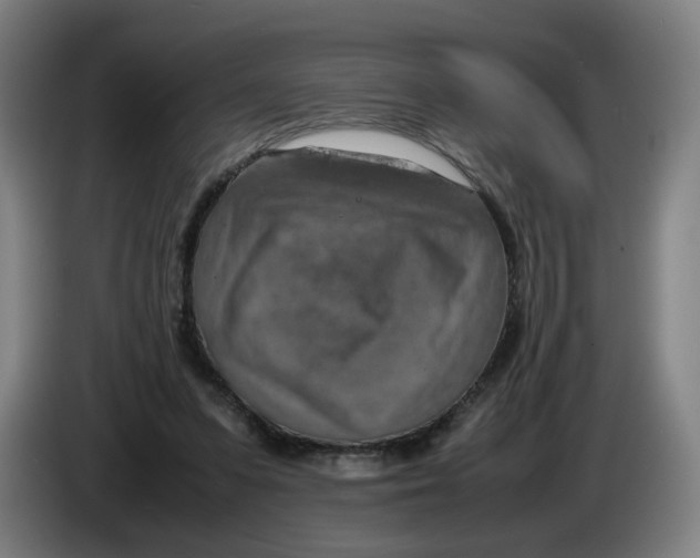 X0000085270303200703301900