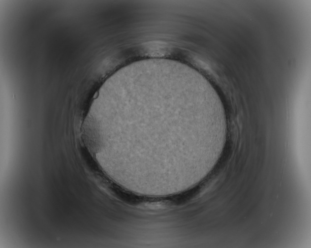 X0000085270307200703301900