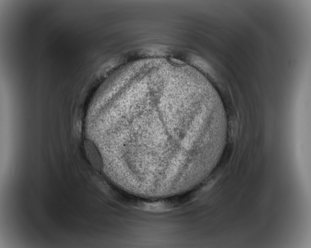 X0000085270309200703301900