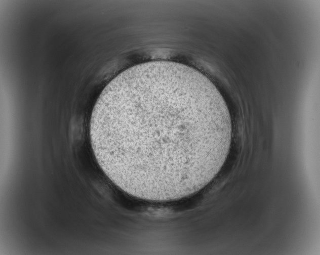 X0000085270311200703301900