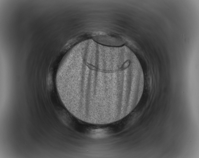 X0000085270312200703301900