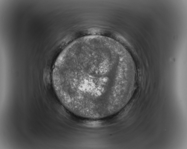 X0000085270313200703301900