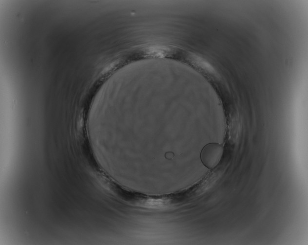 X0000085270314200703301900