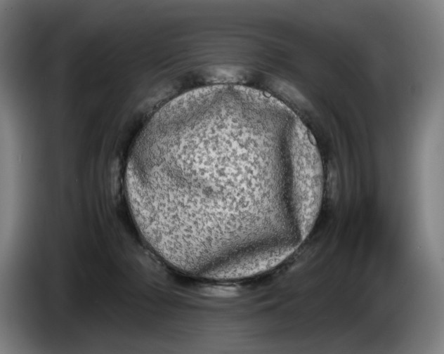 X0000085270318200703301900