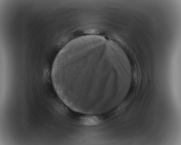 X0000085270322200703301900