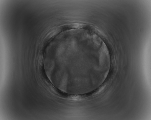 X0000085270325200703301900