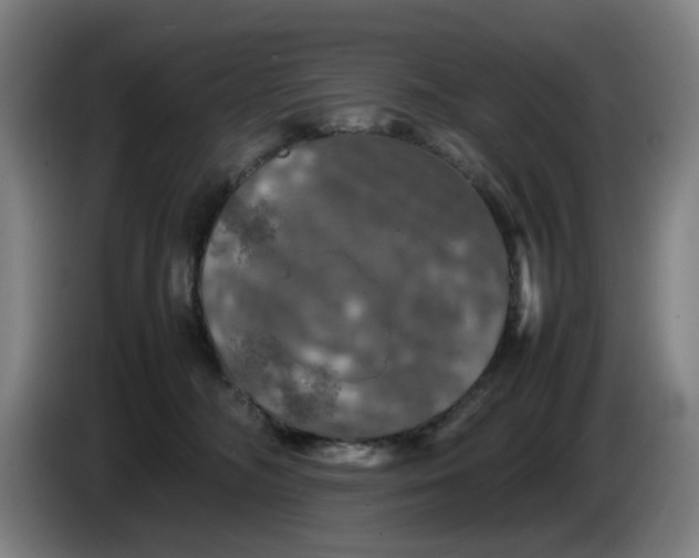 X0000085270326200703301900