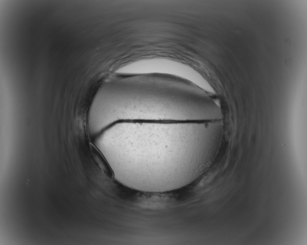 X0000085270329200703301900