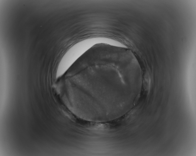 X0000085270330200703301900