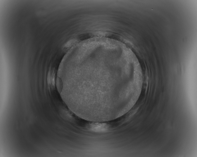 X0000085270334200703301859