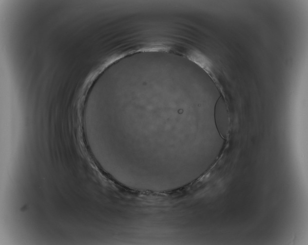 X0000085270337200703301859