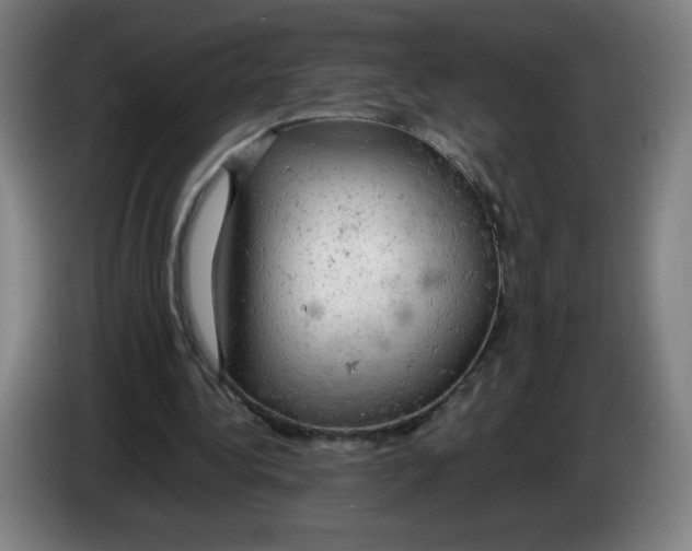 X0000085270340200703301859