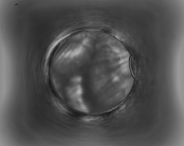 X0000085270343200703301859