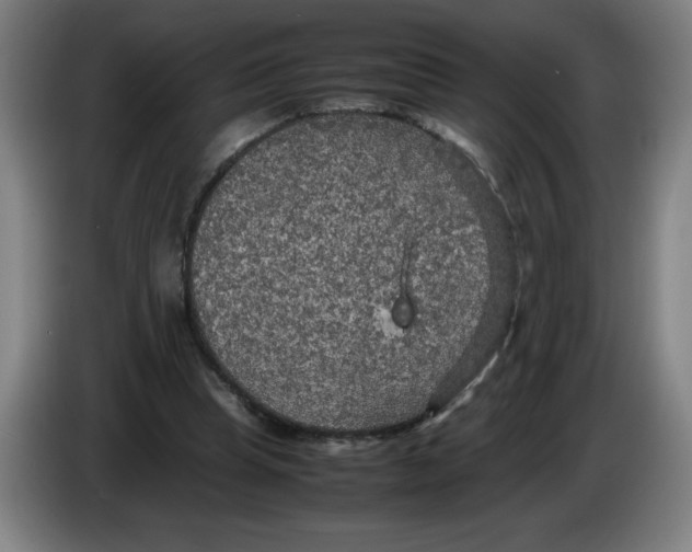 X0000085270345200703301859