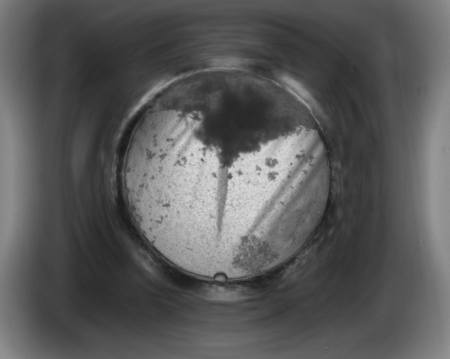 X0000085270346200703301859