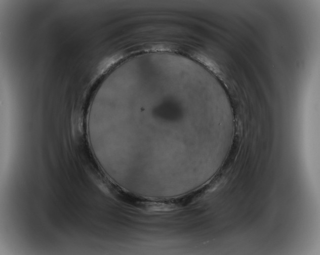 X0000085270347200703301859