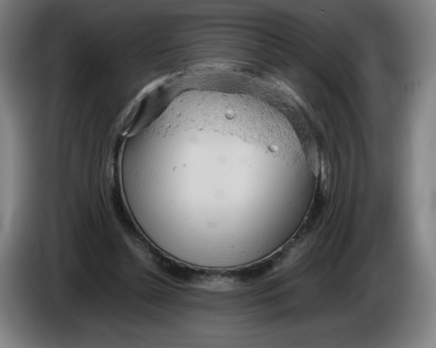 X0000085270348200703301859