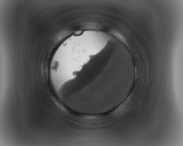 X0000085270349200703301859