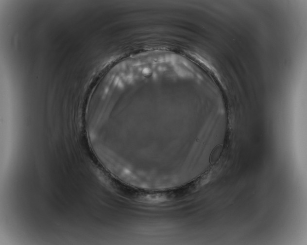 X0000085270353200703301859