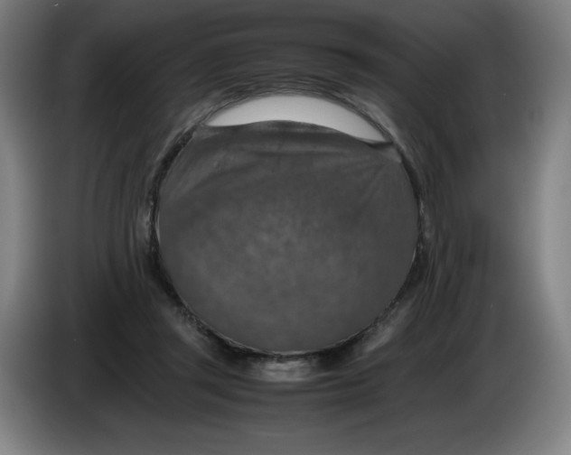 X0000085270357200703301859