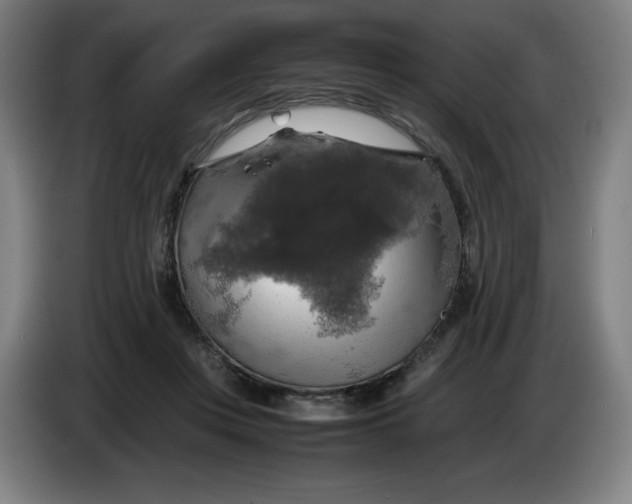 X0000085270359200703301859