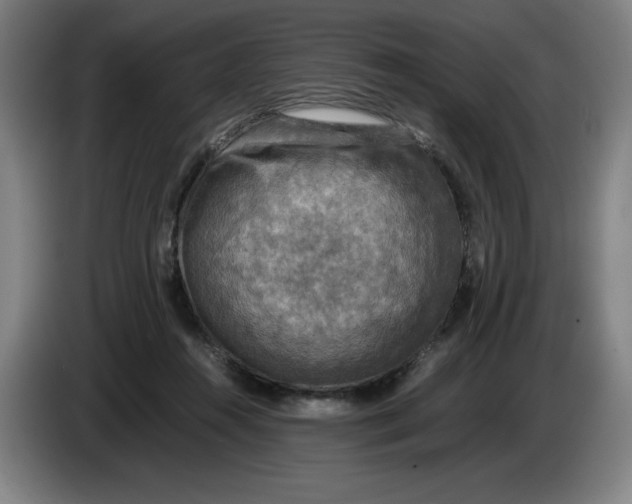 X0000085270360200703301859