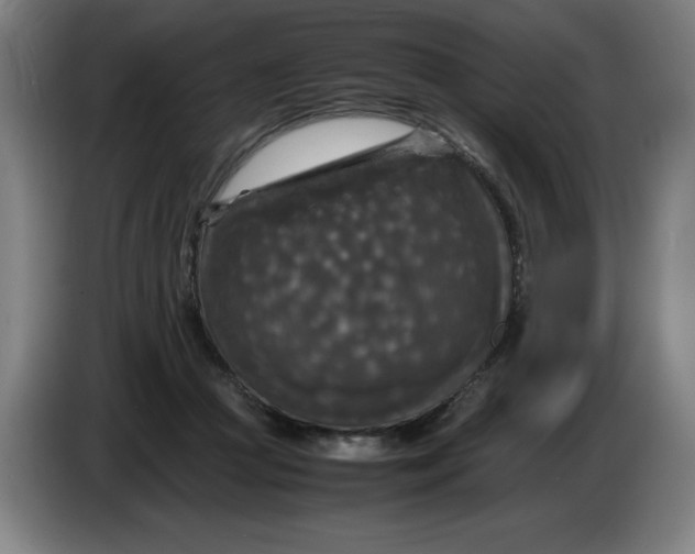 X0000085270361200703301859