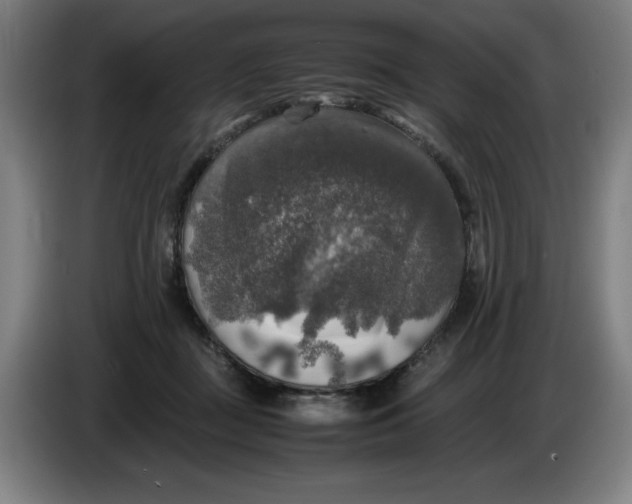 X0000085270363200703301859