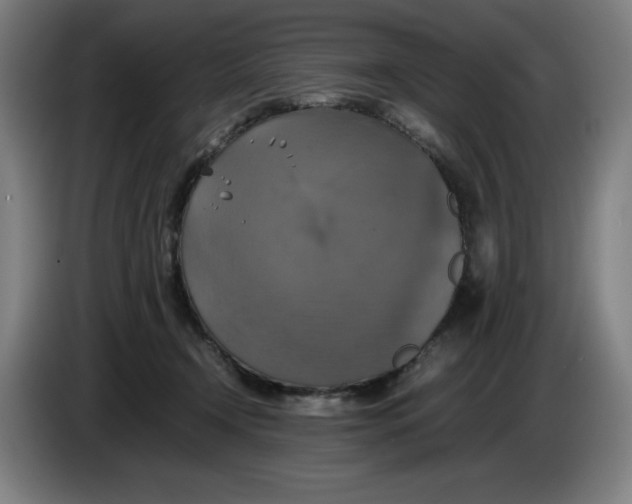 X0000085270366200703301859