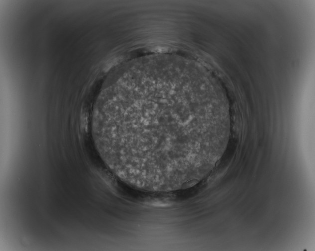 X0000085270368200703301859