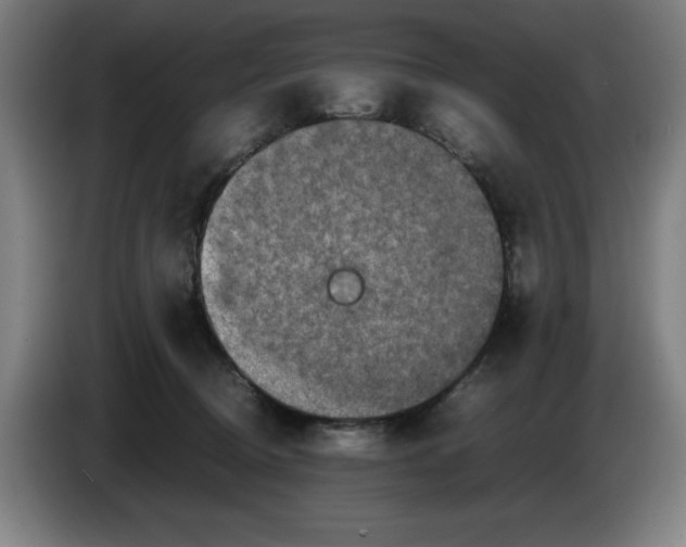 X0000085270370200703301859