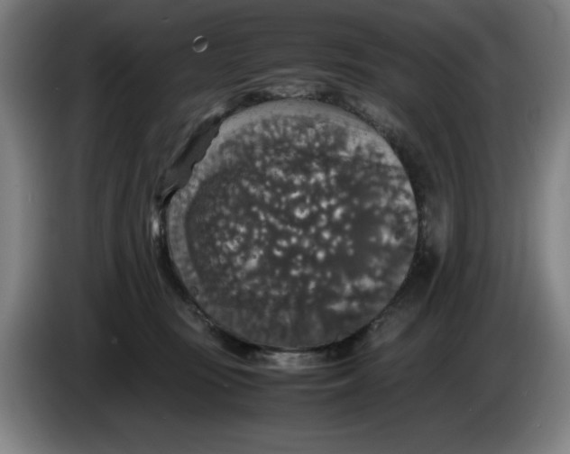 X0000085270371200703301859