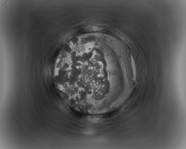 X0000085270373200703301859