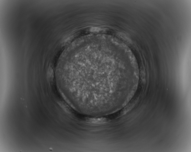 X0000085270375200703301859