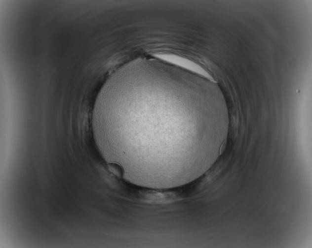 X0000085270379200703301859