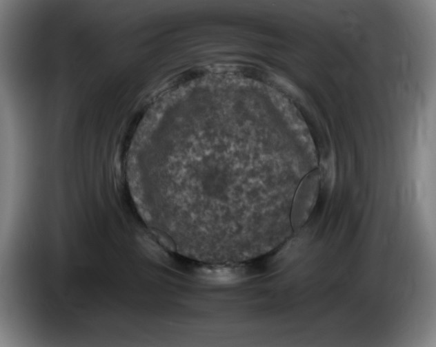 X0000085270381200703301859