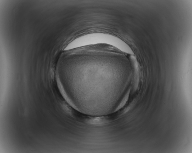 X0000085270382200703301859