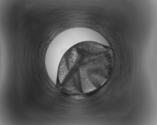 X0000085270384200703301859