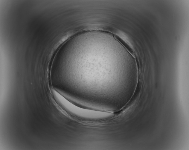 X0000085270389200703301859