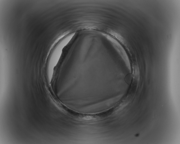 X0000085270390200703301859