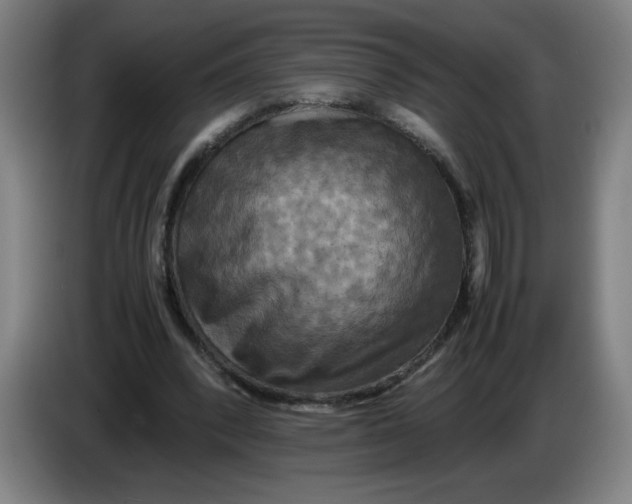 X0000085270392200703301859