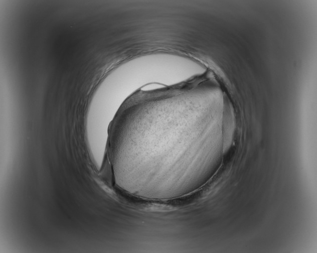 X0000085270393200703301859