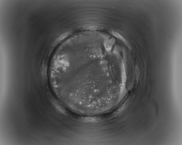 X0000085270394200703301859