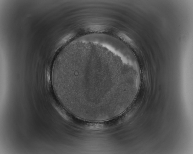 X0000085270398200703301859