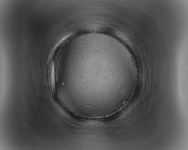 X0000085270399200703301859