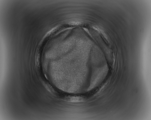 X0000085270400200703301859