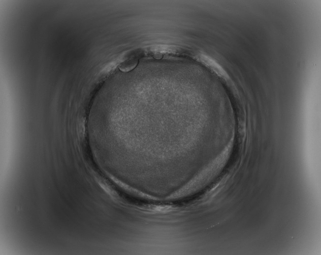 X0000085270401200703301859