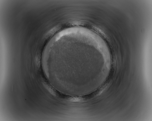 X0000085270402200703301859