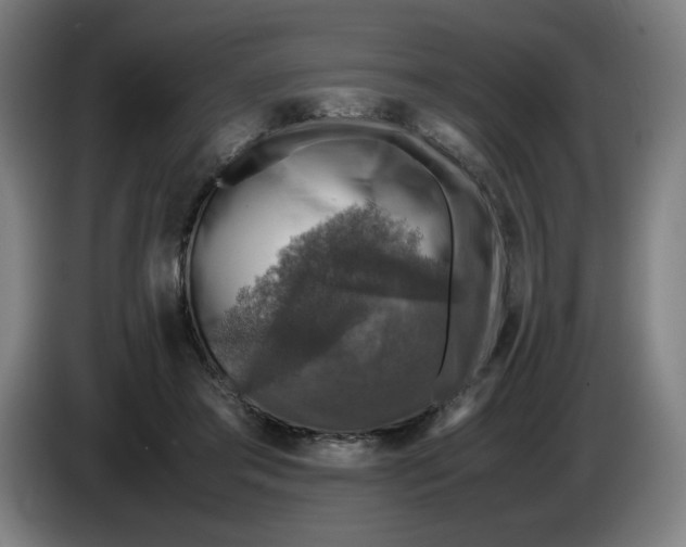 X0000085270405200703301858