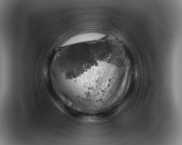 X0000085270408200703301858